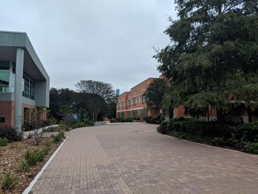 St. Philip's College by null