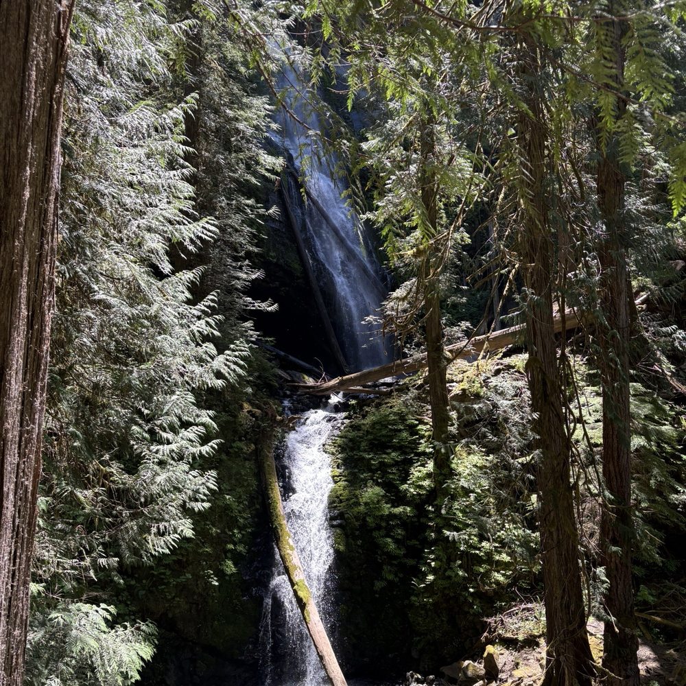 Murhut Falls - Hiking Near Me - Brinnon, Washington Murhut Falls - Hiking Near Me - Brinnon, Washington