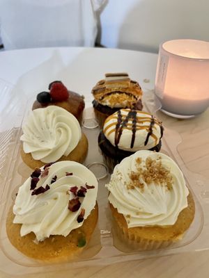 Molly's Cupcakes by null