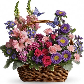Flowers & More - Florists Near Me - Comer, Georgia Flowers & More - Florists Near Me - Comer, Georgia