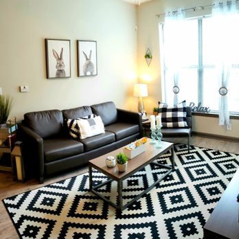 Saga Columbia - Enjoy The Abundance of Natural Light - University Housing Near Me - Columbia, South Carolina
