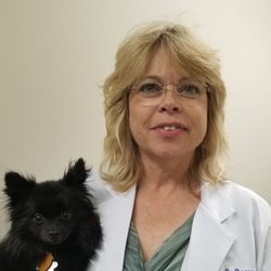 Hope Veterinary Clinic: East - Dr Deena Stoner