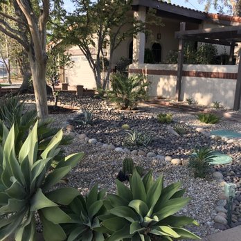 Environmental landscape - Another view of the striking stone and cactus garden - Landscape Architects or Designers Near Me Environmental landscape - Another view of the striking stone and cactus garden - Landscape Architects or Designers Near Me