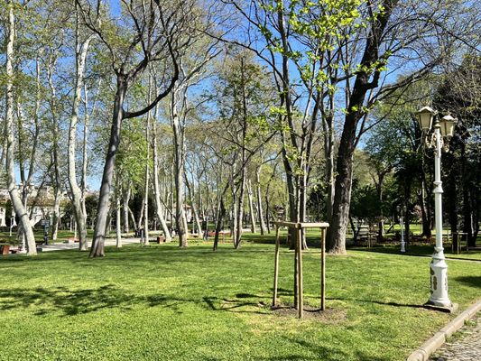 Gülhane Park by null