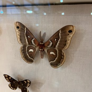 Butterfly Biosphere - Children's Museums Near Me - Lehi, Utah