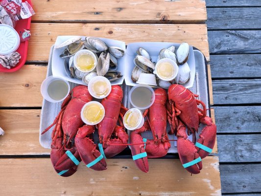 Five Islands Lobster Co by null