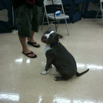 Petco - Graduation day! - Pet Stores Near Me - Kapolei, Hawaii Petco - Graduation day! - Pet Stores Near Me - Kapolei, Hawaii