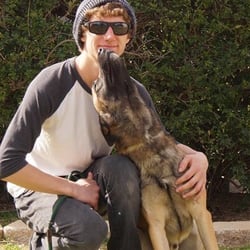 Dynamic Dog Training