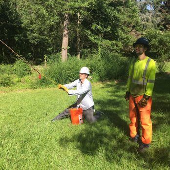 Restoration Tree Care - Directional Tree Falling - Tree Services Near Me Restoration Tree Care - Directional Tree Falling - Tree Services Near Me