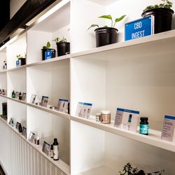 Sativa Remedy - Sativa Remedy hemp CBD dispensary in Buffalo, NY. Hemp CBD topicals, tinctures, ingestible, and raw hemp flowers.