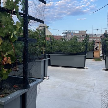 Rooftop Reds - Upstairs - Wineries Near Me - Brooklyn, New York
