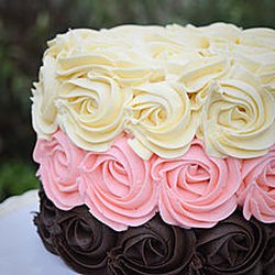 Kingfisher Bakery