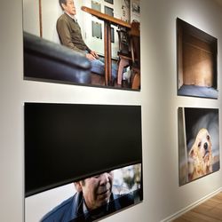 Michael C Carlos Museum of Emory University