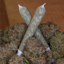 Archive Portland - RudeBoi OG #1