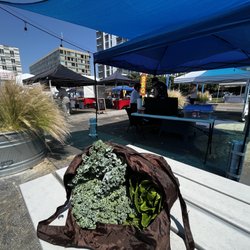 Southwest DC Farmers Market - Fresh produce