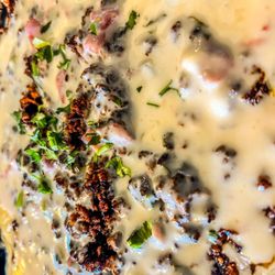 El Palenque Salas - The best queso cheese on the planet right now.