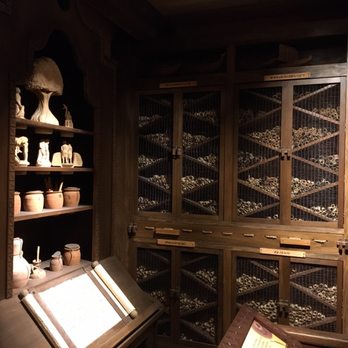 Ark Encounter - Inside the ark - Museums Near Me - Williamstown, Kentucky