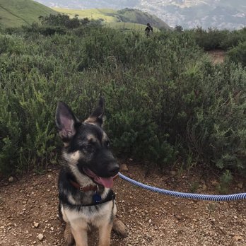 Mario DeCampos Trail - Hiking Near Me