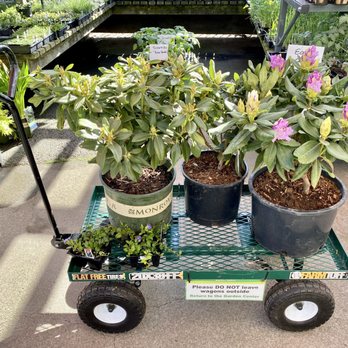 Flowercraft Garden Center - Nurseries & Gardening Near Me - San Francisco, California