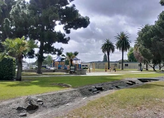 Maxwell Park by null