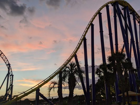 SeaWorld San Antonio by null