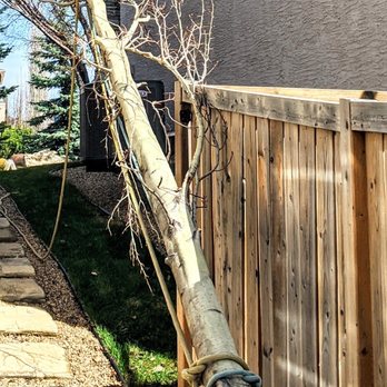 True North Tree Services - Tree Services Near Me True North Tree Services - Tree Services Near Me