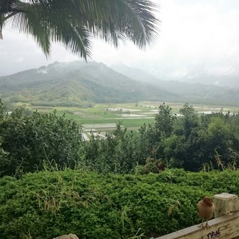 Hanalei Valley Lookout - Landmarks & Historical Buildings Near Me - Princeville, Hawaii Hanalei Valley Lookout - Landmarks & Historical Buildings Near Me - Princeville, Hawaii