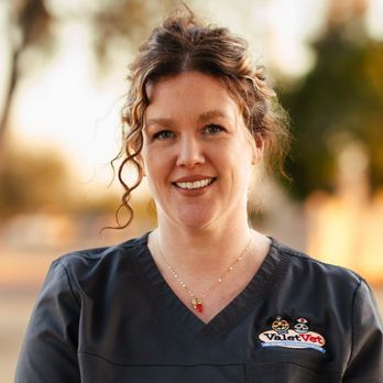 Valet Vet Mobile Veterinary Services - Veterinarians Near Me - Phoenix, Arizona Valet Vet Mobile Veterinary Services - Veterinarians Near Me - Phoenix, Arizona