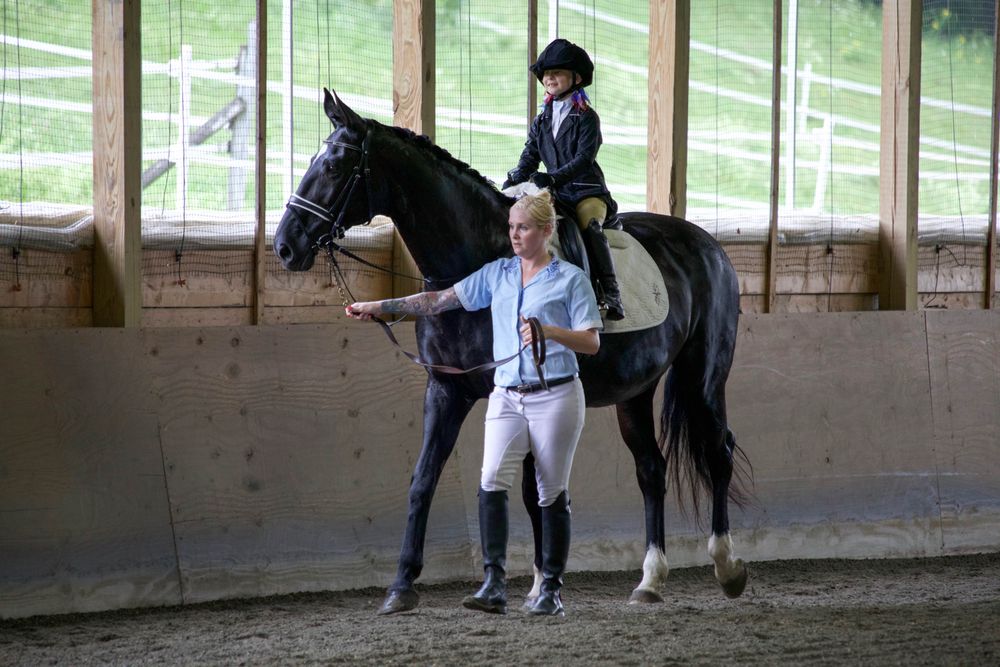 Rabidoux Performance Horses - equestrian in Bristol, VT