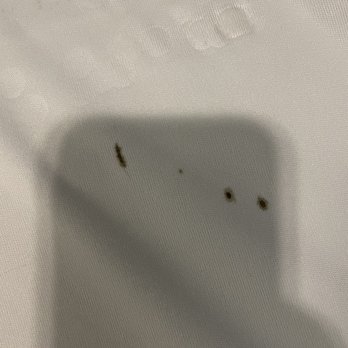 Seashell Motel - Bed bug fecal matter - Hotels Near Me - Key West, Florida Seashell Motel - Bed bug fecal matter - Hotels Near Me - Key West, Florida