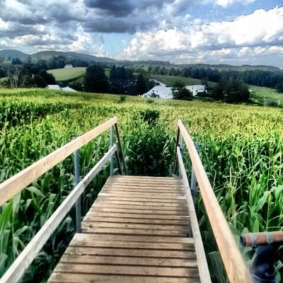 Great Vermont Corn Maze by null