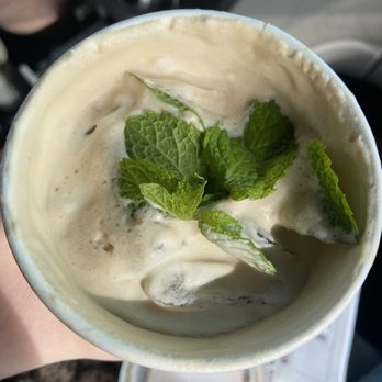 Philz Coffee - mint mojito - Coffee & Tea Near Me - La Jolla, California Philz Coffee - mint mojito - Coffee & Tea Near Me - La Jolla, California