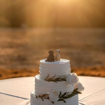 Rustically Romantic photography by Darby Johnson - Event Photography Near Me Rustically Romantic photography by Darby Johnson - Event Photography Near Me