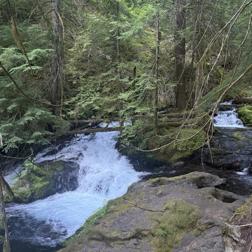 Panther Creek Falls - Hiking Near Me - Carson, Washington Panther Creek Falls - Hiking Near Me - Carson, Washington
