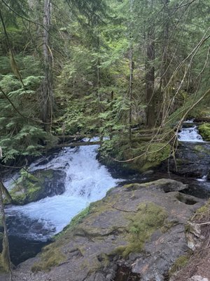 Panther Creek Falls by null