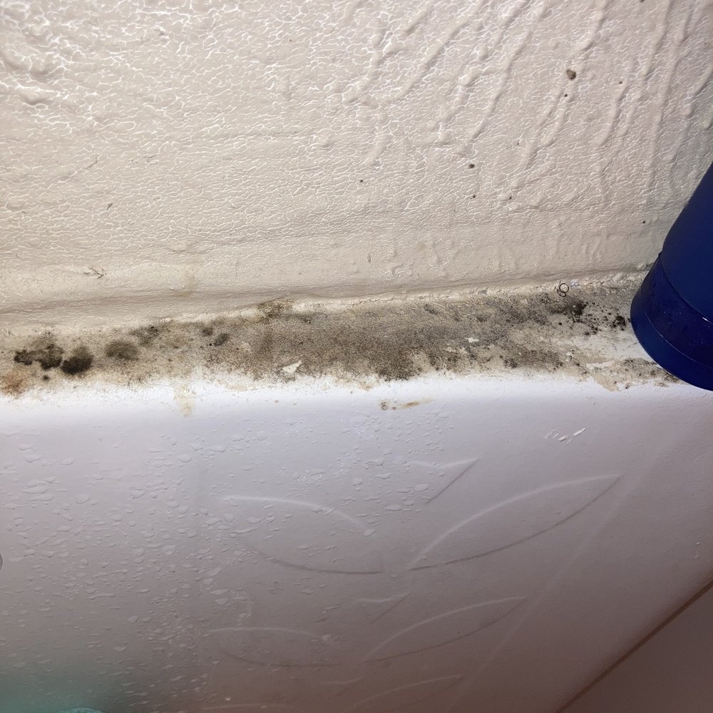 McCart Apartments - Black mold near shower head - Apartments Near Me - Fort Worth, Texas McCart Apartments - Black mold near shower head - Apartments Near Me - Fort Worth, Texas