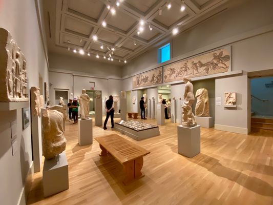Michael C. Carlos Museum by null