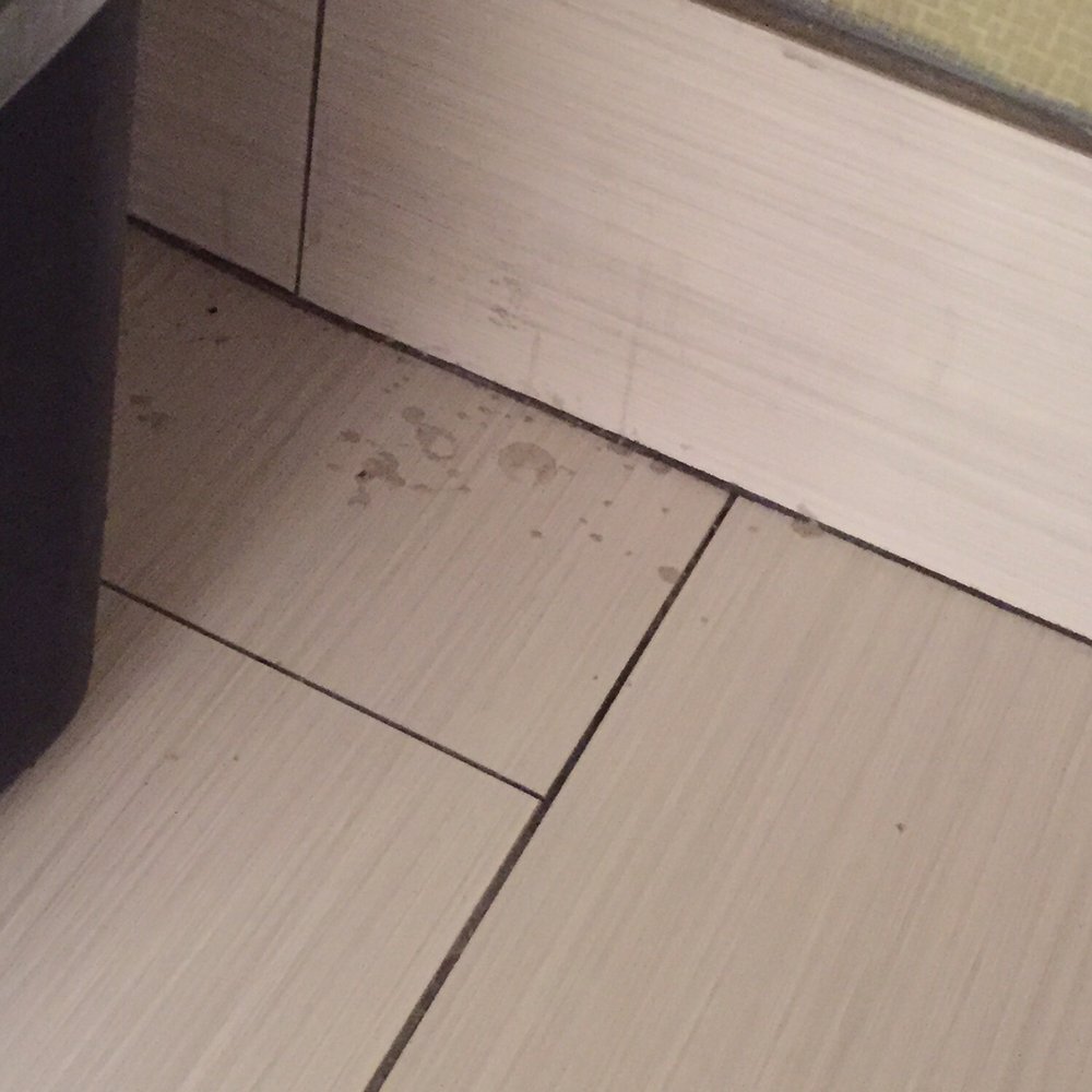 Filthy. Here are pictures of the filth we were greeted with when we arrived.