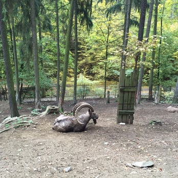 Zoo Olomouc - Zoos Near Me - Olomouc, OL