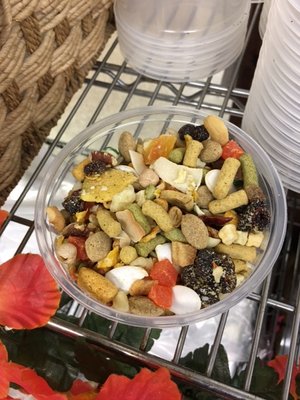 Bird Paradise by null