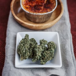 Flow Kana - Creme Brulée by House of Aficionado