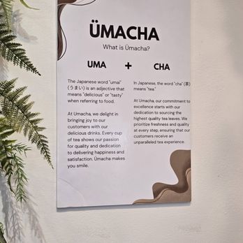 ÜMACHA - description - Bubble Tea Near Me - Edgewater, New Jersey