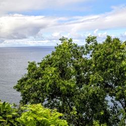 Road to Hana - On the Road to Hana