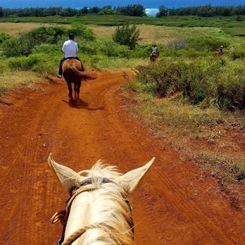 CJM Stables - A view of the beach from riding Chex, a gentle horse for beginners. - Horseback Riding Near Me