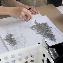 Ari Studio