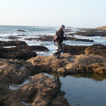 Bean Hollow State Beach - Tidal Pools, Bean Hollow SB - Beaches Near Me - Pescadero, California Bean Hollow State Beach - Tidal Pools, Bean Hollow SB - Beaches Near Me - Pescadero, California