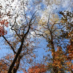 Moss Rock Preserve - Beautiful fall foliage.