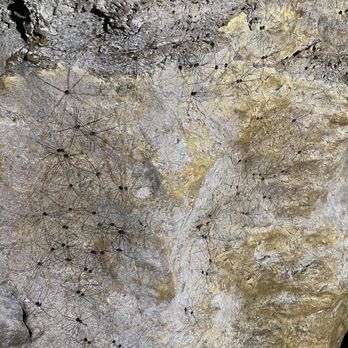 Linville Caverns - Granddaddy long legs - Landmarks & Historical Buildings Near Me - Marion, North Carolina