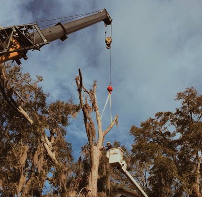 TOP NOTCH TREE SERVICE - Updated April 2026 - 29 Photos - Port Royal ...