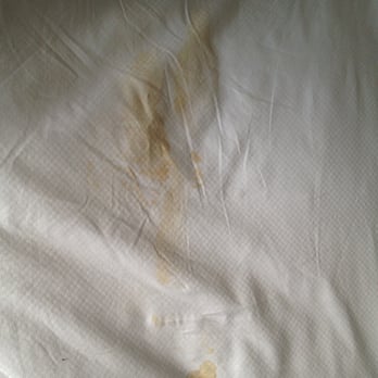 Hotel Washington - mystery stain - Hotels Near Me - Washington, DC, District of Columbia Hotel Washington - mystery stain - Hotels Near Me - Washington, DC, District of Columbia